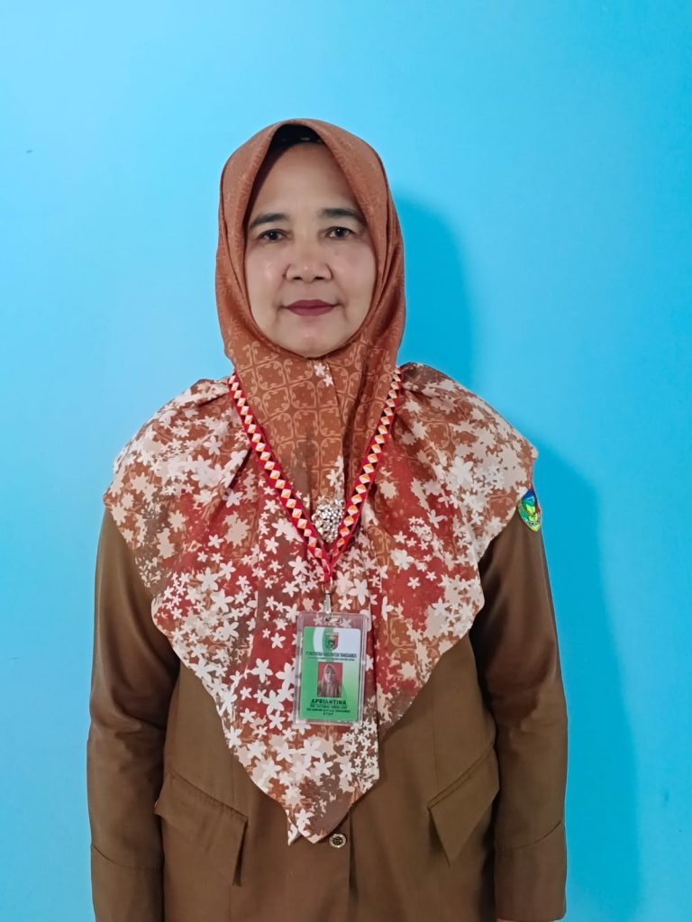 ERNA GUSNIDA , AMd.KL